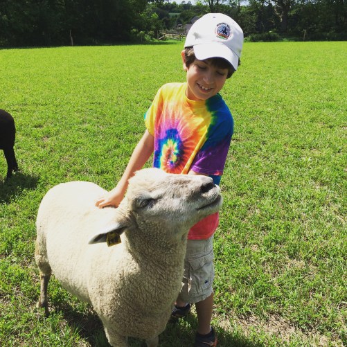 Noah and rescued sheep at sanctuary by Miriam Porter copy